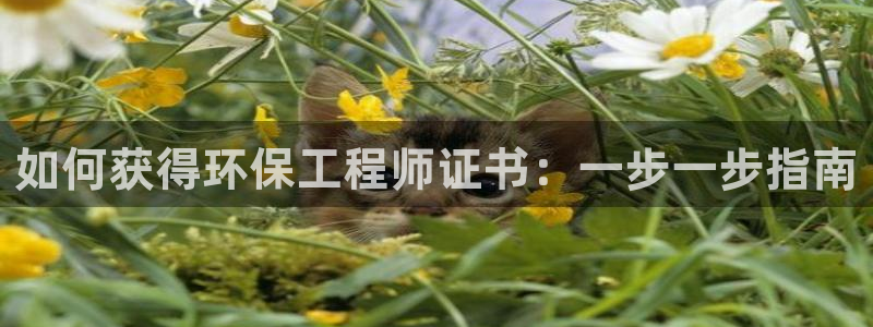 彩名堂是什么：如何获得环保工程师证书