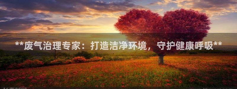 彩名堂官方下载地址：**废气治理专家
