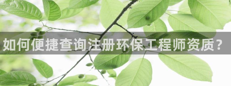 彩名堂客户端官网：如何便捷查询注册环
