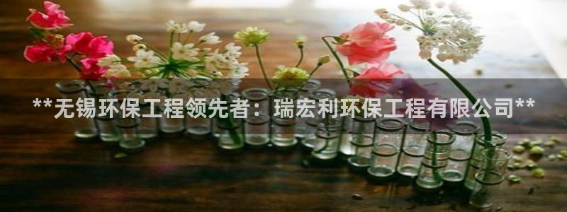 彩名堂旧版本：**无锡环保工程领先者