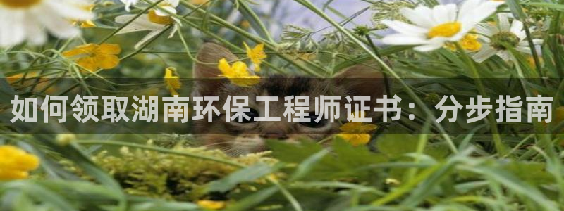 彩名堂预测：如何领取湖南环保工程师证