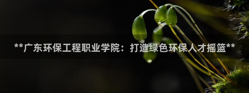 彩名堂还能用吗：**广东环保工程职业