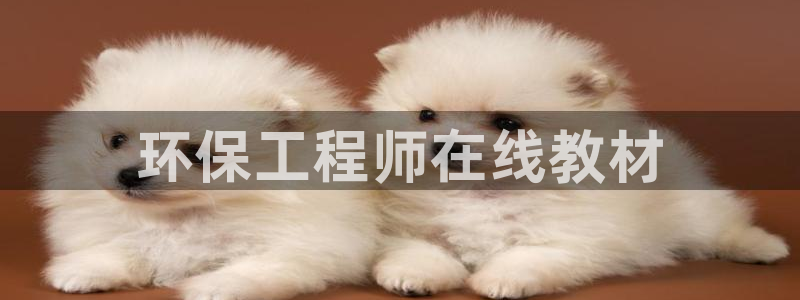 彩名堂一直不出结果怎么回事：环保工程师在线教材