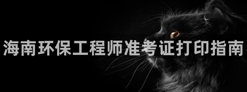 彩名堂怎么选稳定计划产品：海南环保工程师准考证打印指南