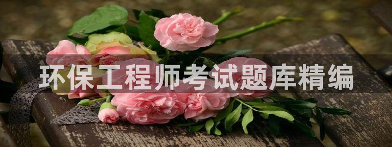 彩名堂客户端加拿大：环保工程师考试题库精编