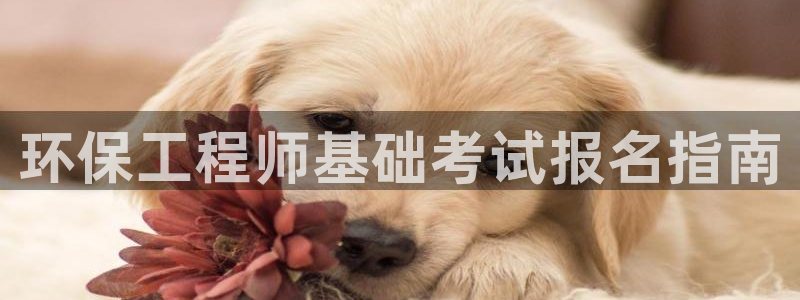 彩名堂免费计划使用方法是什么：环保工程师基础考试报名指南
