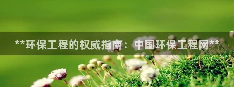 彩名堂好用还是千里马好用：**环保工