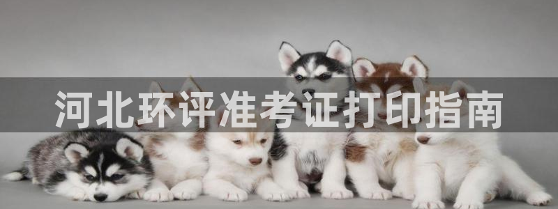 彩名堂官网客户端：河北环评准考证打印