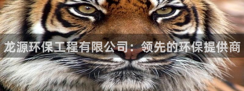 彩名堂全天计划：龙源环保工程有限公司