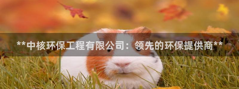 彩名堂app下载5.1.0：**中核环保工程有限公司：领先的环保提供商**