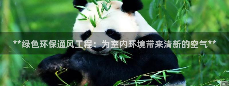 彩名堂5.0计划永久免费版为什么下不