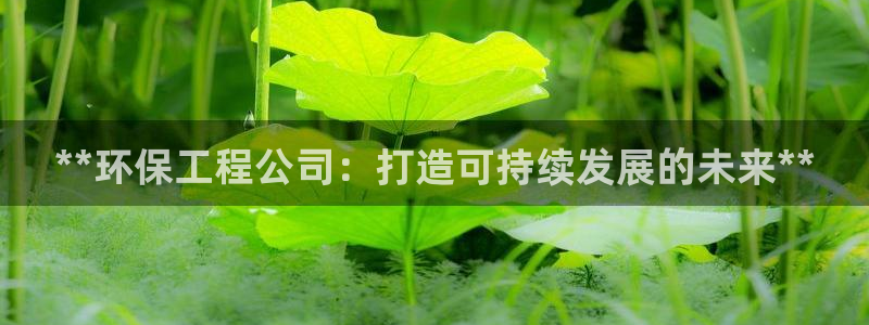 彩名堂是不是坑人的：**环保工程公司