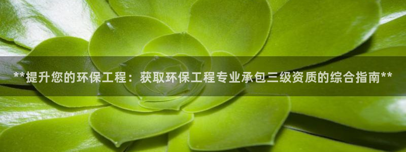 彩名堂预测：**提升您的环保工程：获取环保工程专业承包三级资质的综合指南**