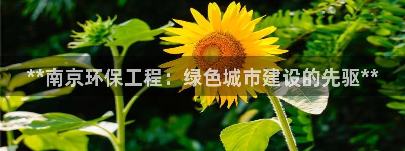 彩名堂一直不出结果怎么回事呀：**南