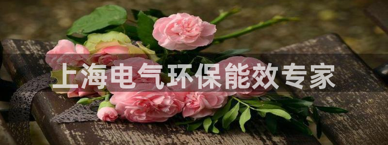 彩名堂免费计划软件下载：上海电气环保