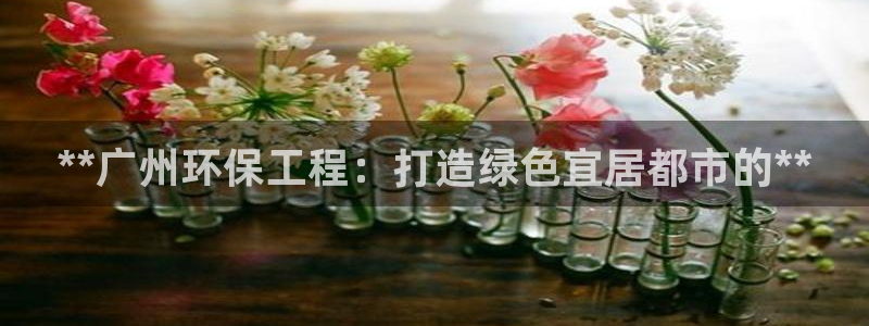 彩名堂的拼音：**广州环保工程：打造