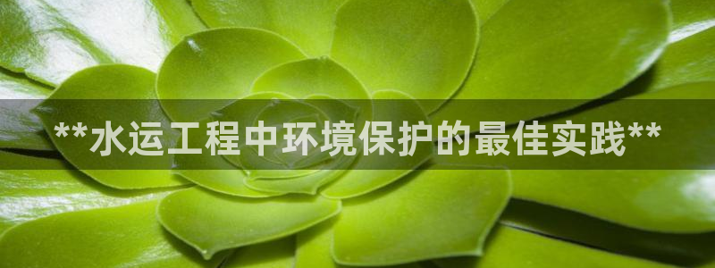 彩名堂为啥不准了乱变：**水运工程中