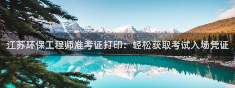 彩名堂使用方法：江苏环保工程师准考证