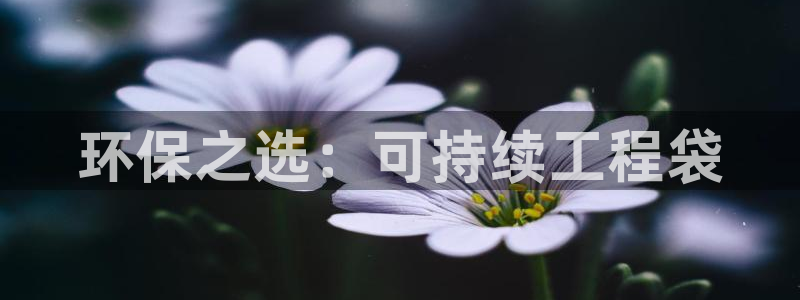 彩名堂预测软件与分析：环保之选：可持