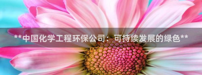 彩名堂客户端官网：**中国化学工程环保公司：可持续发展的绿色**