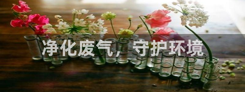 彩名堂官网在线计划：净化废气，守护环境