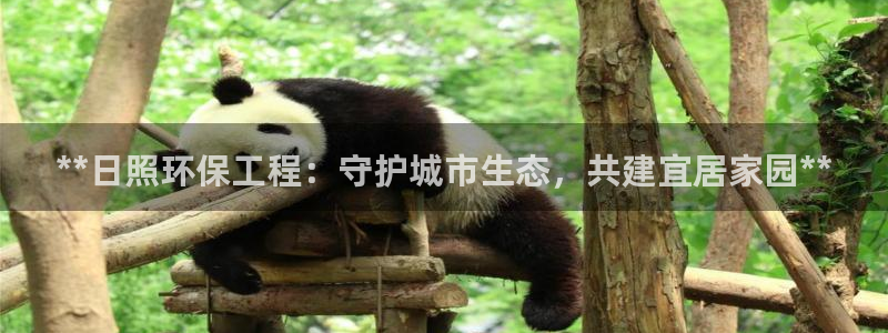 彩名堂为啥又不能用了：**日照环保工
