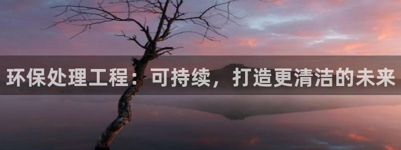 彩名堂预测：环保处理工程：可持续，打