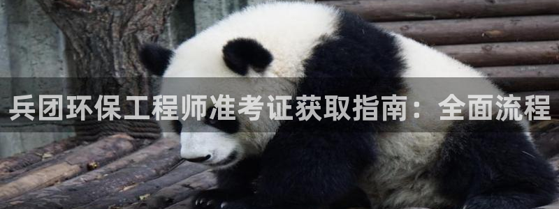 彩名堂官方软件下载：兵团环保工程师准