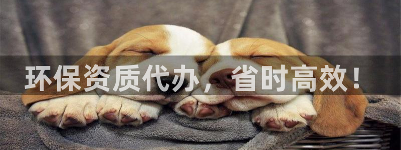 彩名堂预测免费计划：环保资质代办，省