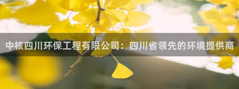 下载彩名堂预测计划软件安全吗：中核四