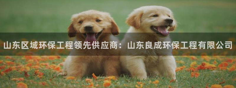 彩名堂计划和01计划怎么很稳：山东区