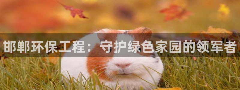 下载彩名堂预测计划软件安全吗：邯郸环