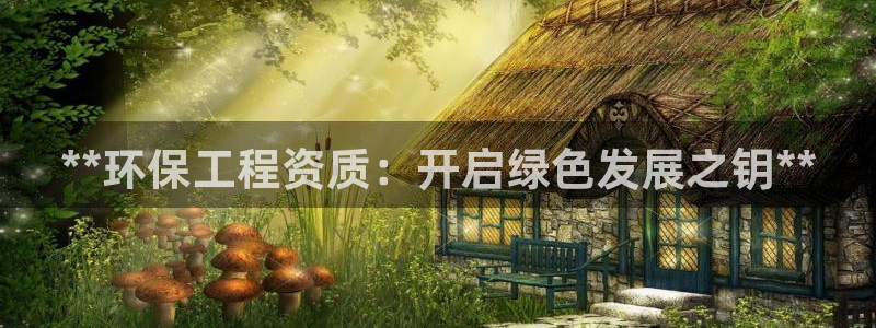 彩名堂客户端加拿大：**环保工程资质