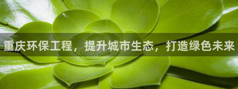 彩名堂是不是不能用了吗：重庆环保工程