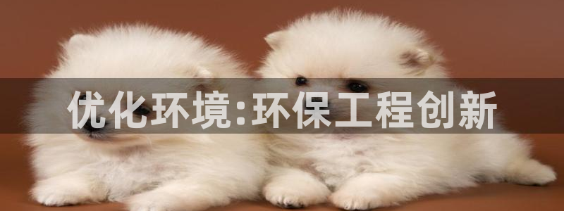 彩名堂用不了：优化环境:环保工程创新