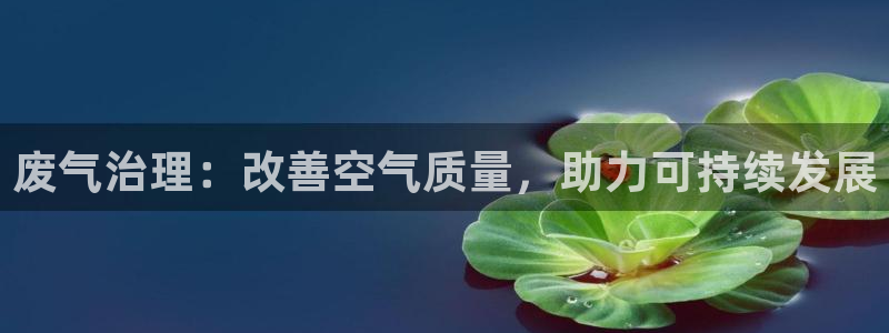 彩名堂计划怎么出的：废气治理：改善空