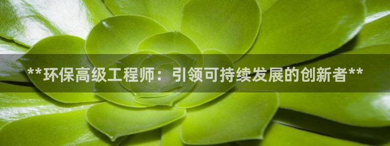 彩名堂计划怎么看：**环保高级工程师