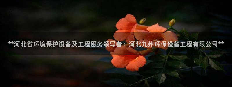 彩名堂客服电话号码：**河北省环境保护设备及工程服务领导者：河北九州环保设备工程有限公司**