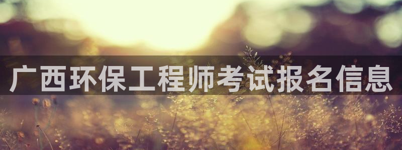 彩名堂官网2：广西环保工程师考试报名
