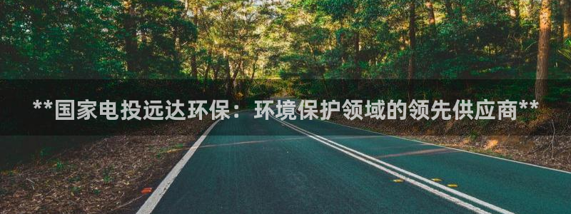 彩名堂网页：**国家电投远达环保：环