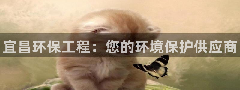为什么彩名堂今天不能用：宜昌环保工程