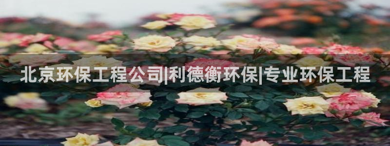 彩名堂免费计划官网50下载957：北