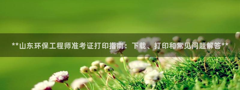 彩名堂官网客户端：**山东环保工程师