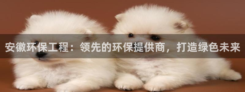 彩名堂预测计划：安徽环保工程：领先的