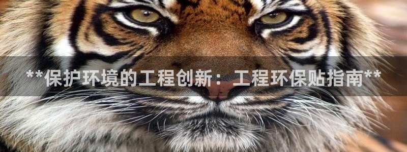 彩名堂免费计划官网老版本：**保护环