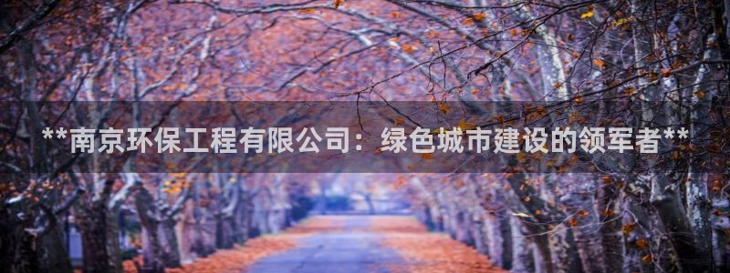彩名堂怎么跟计划才不连挂在一起：**南京环保工程有限公司：绿色城市建设的领军者**