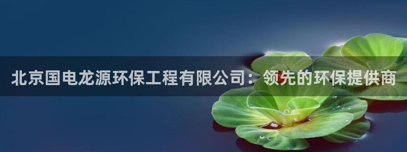 彩名堂怎么用不输：北京国电龙源环保工