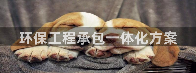 彩名堂计划最新版手机版：环保工程承包