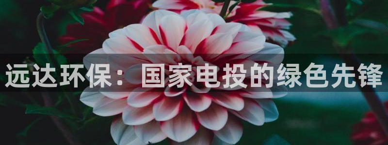 最新彩名堂计划：远达环保：国家电投的