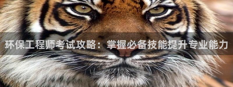 如何进入彩名堂官网更新：环保工程师考